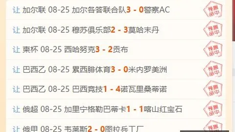 哪吒汽车全新战略熊猫体育app：投资人换血，重塑辉煌终极指南